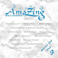 Best Of Amazing Records Vol. 2