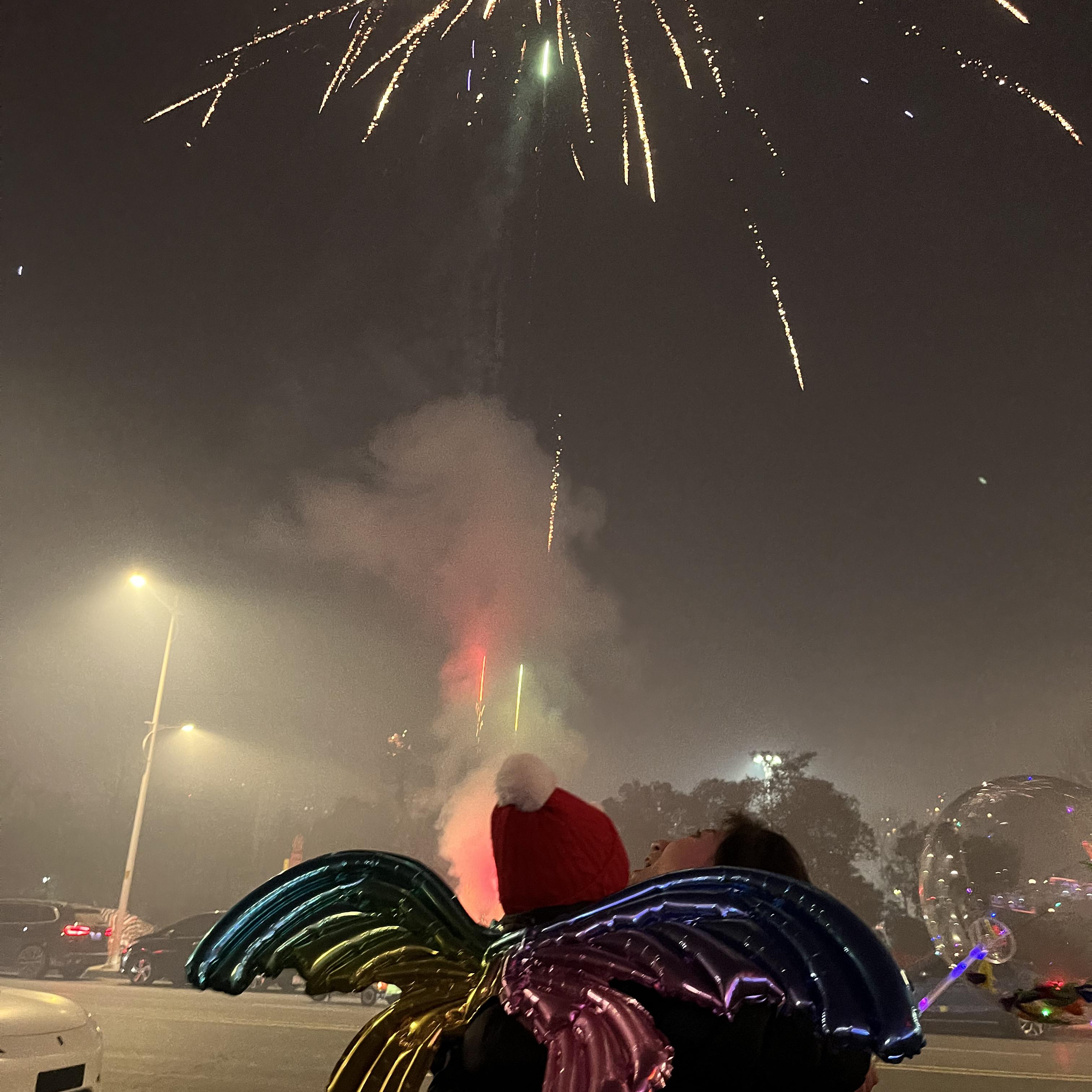 布谷之殇《鹅鸭杀布谷鸟主题歌》