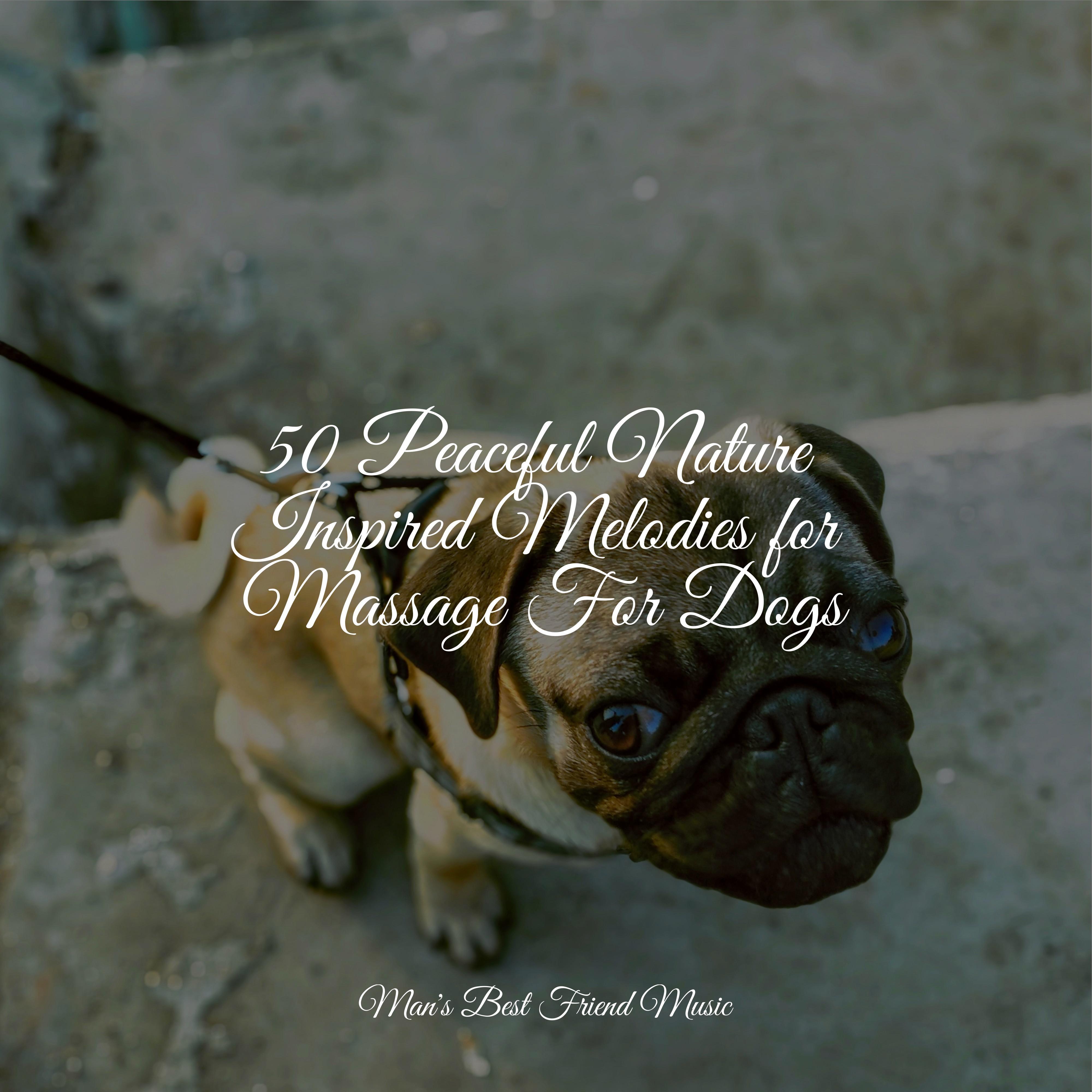 50 Peaceful Nature Inspired Melodies for Massage For Dogs - Relaxing ...