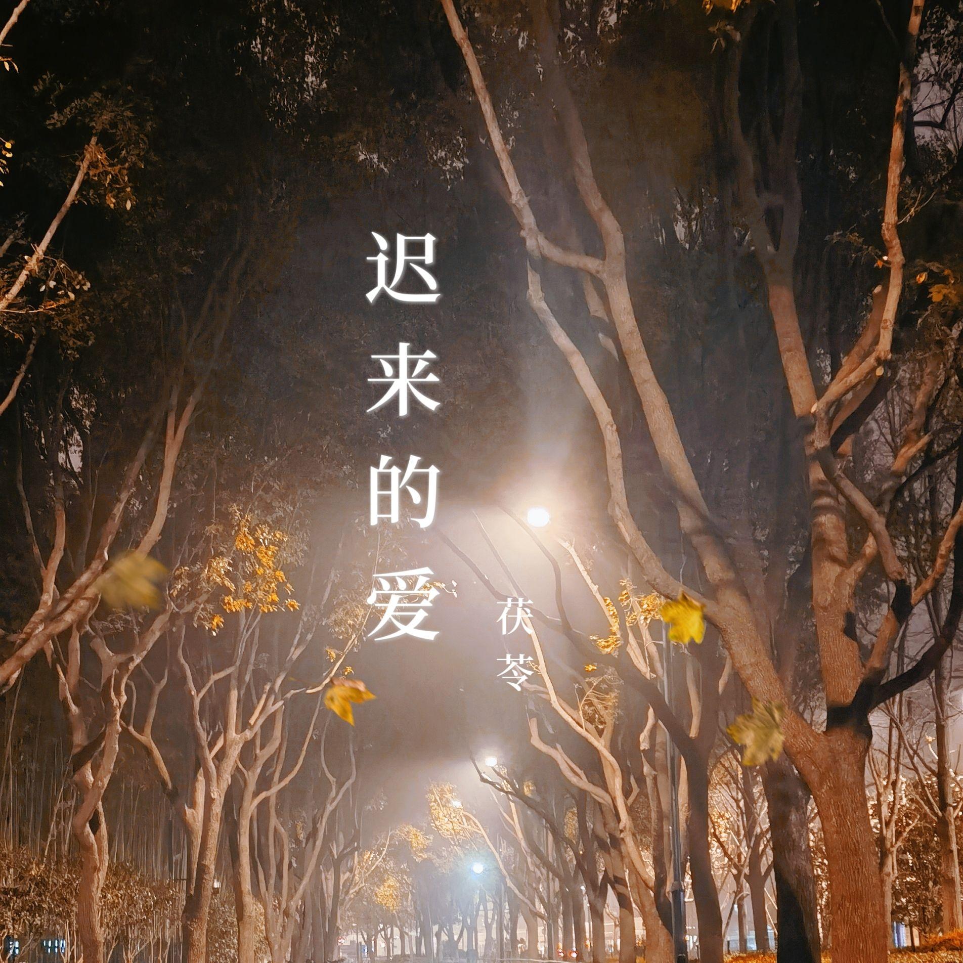 迟来的爱（2024新版）