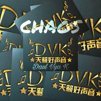 D V K 天 籁 好 声 音