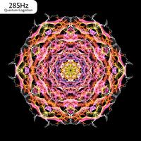 285 Hz Quantum Cognition