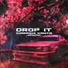 IGARASHI KANTA - Drop It