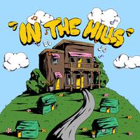 In The Hills (feat. NERONOIR & dampszn)