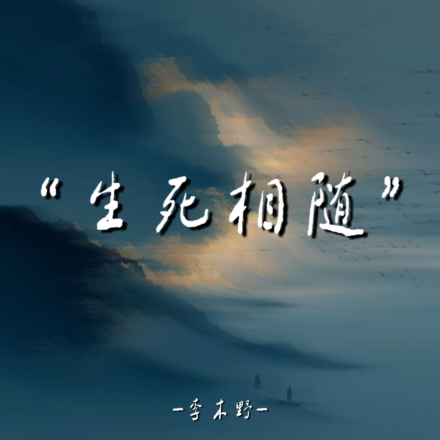 生死相随封面