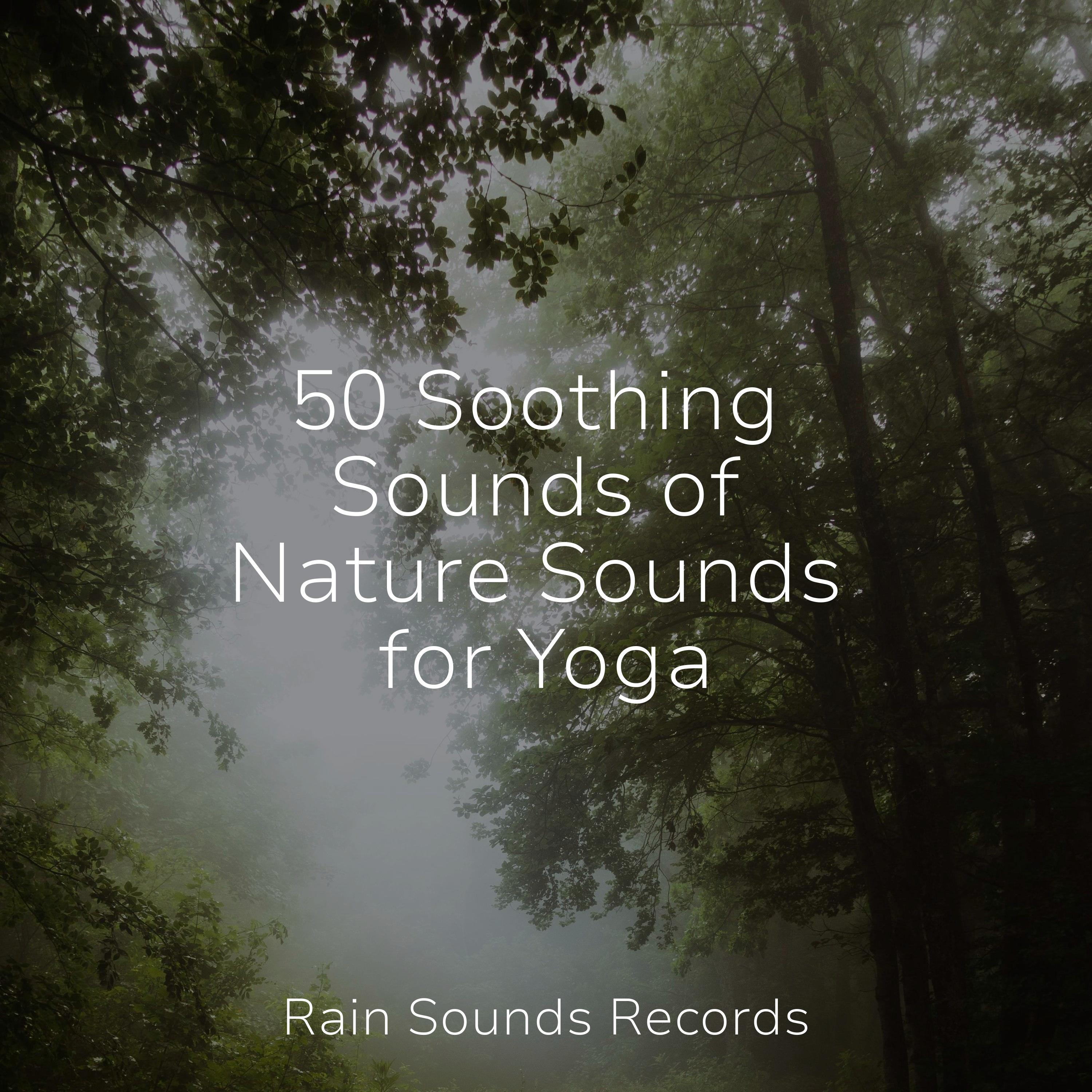 50 Soothing Sounds of Nature Sounds for Yoga - Relax Meditate Sleep ...