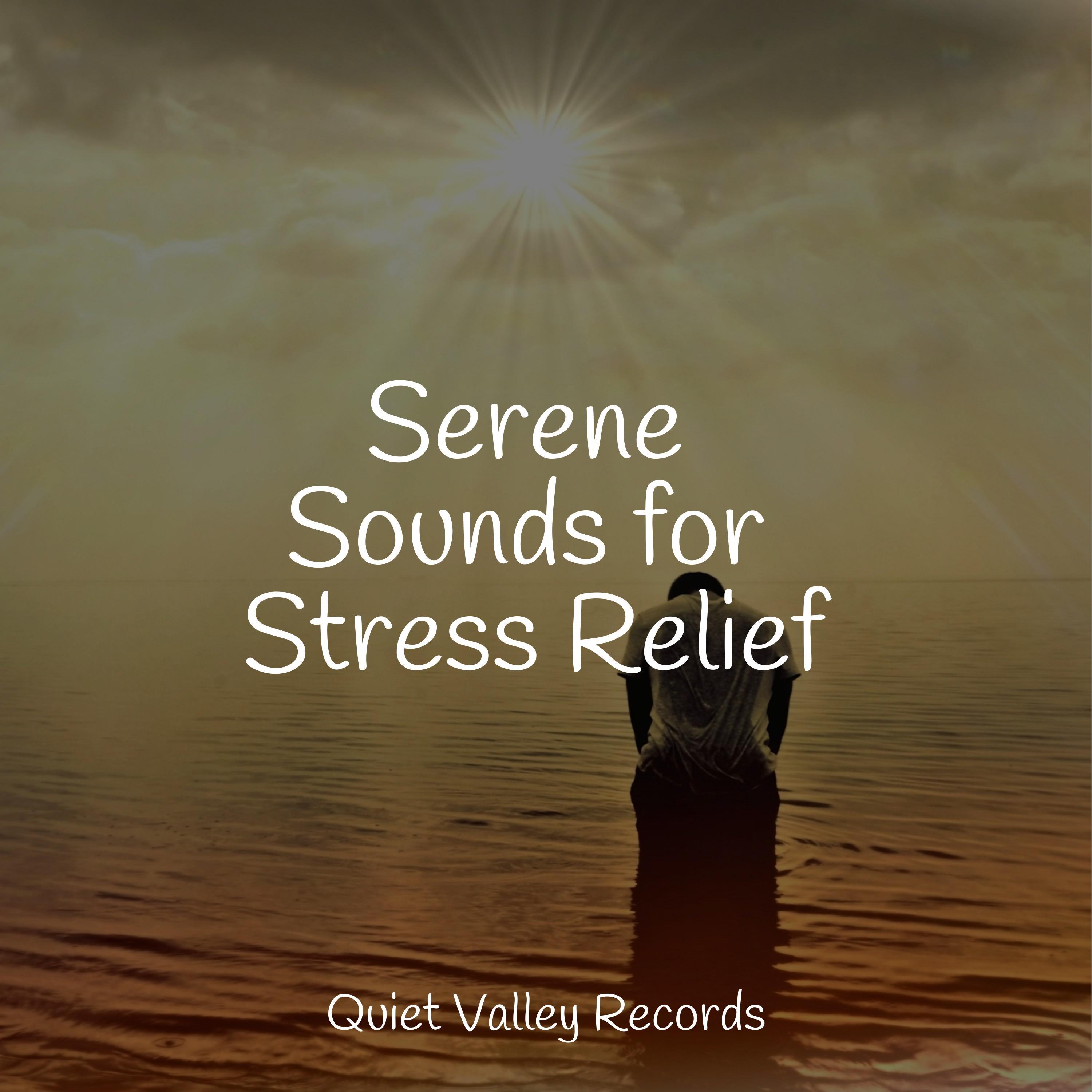 Nightfall_Rain Sounds For Sleep_Serene Sounds for Stress Relief | 在线播放_Nightfall歌词_Nightfall下载 | 网易云音乐