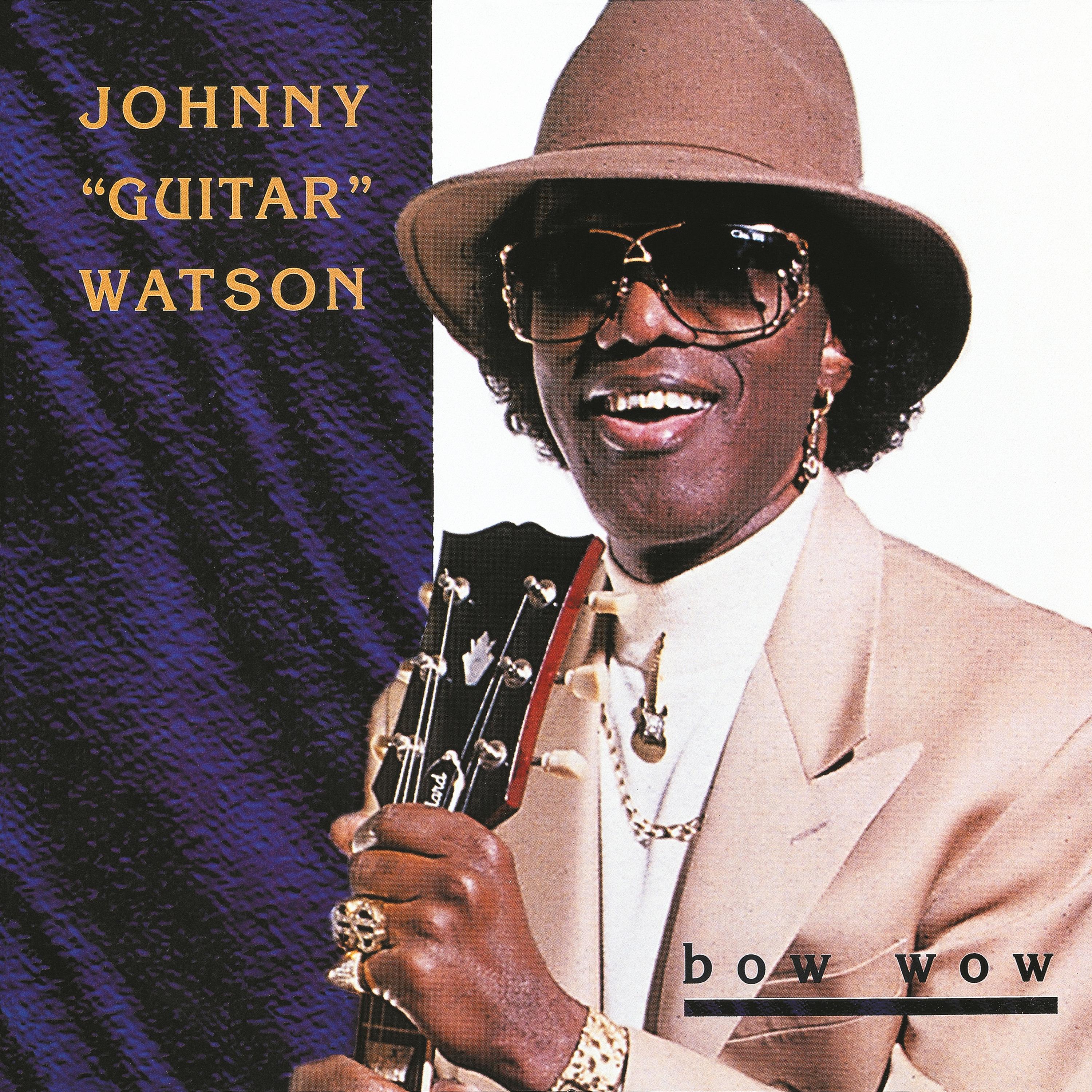Hook Me Up - Johnny Guitar Watson封面