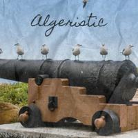 Algeristic