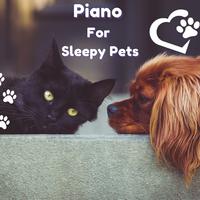 Piano For Sleepy Pets