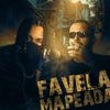 Wf mc - Favela Mapeada