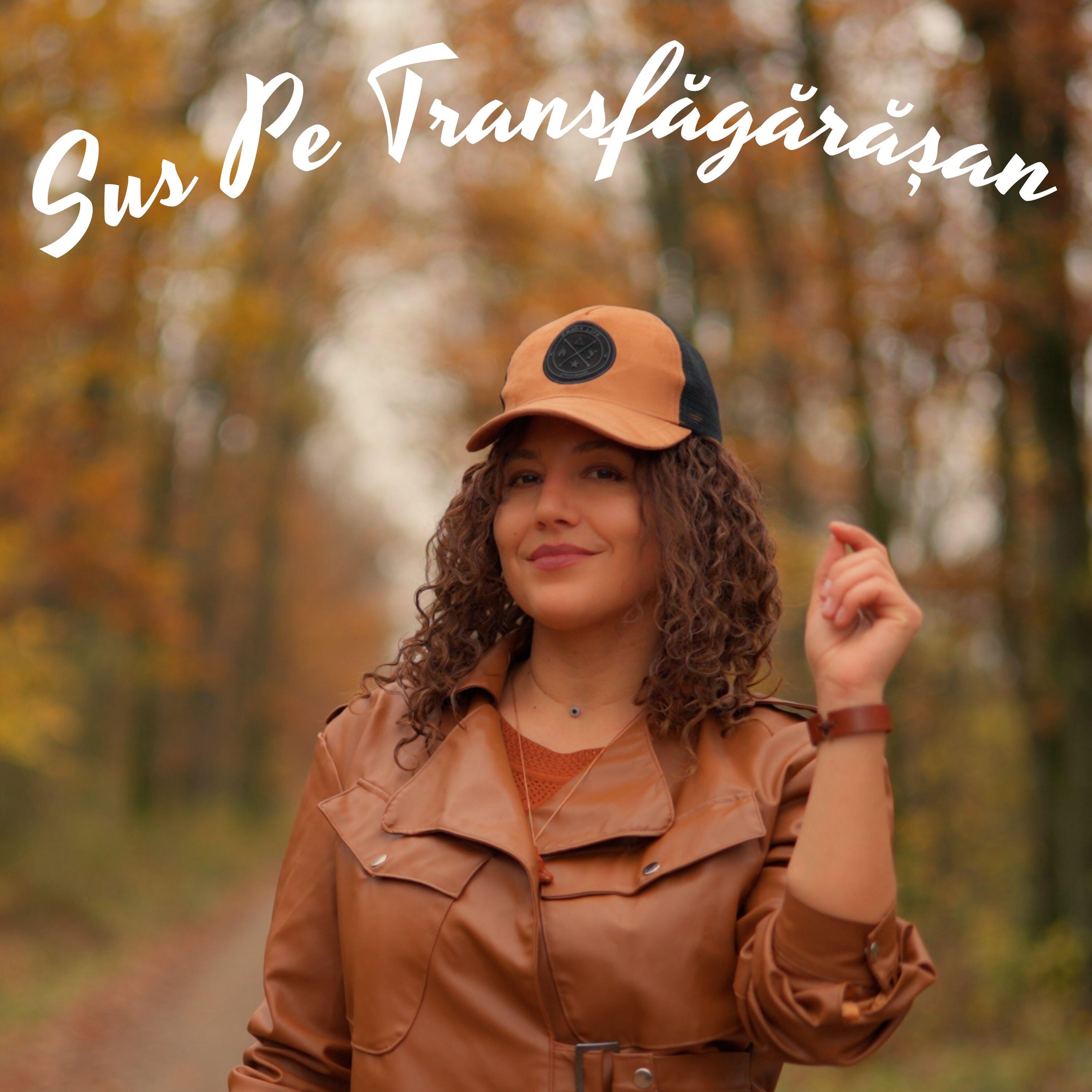 Sus pe Transfagarasan