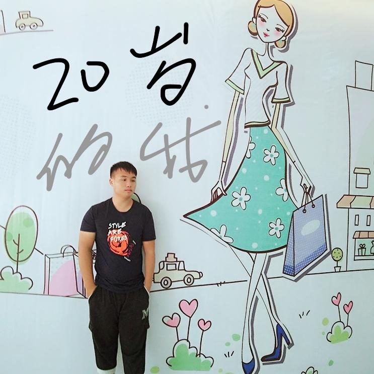 20岁的我封面