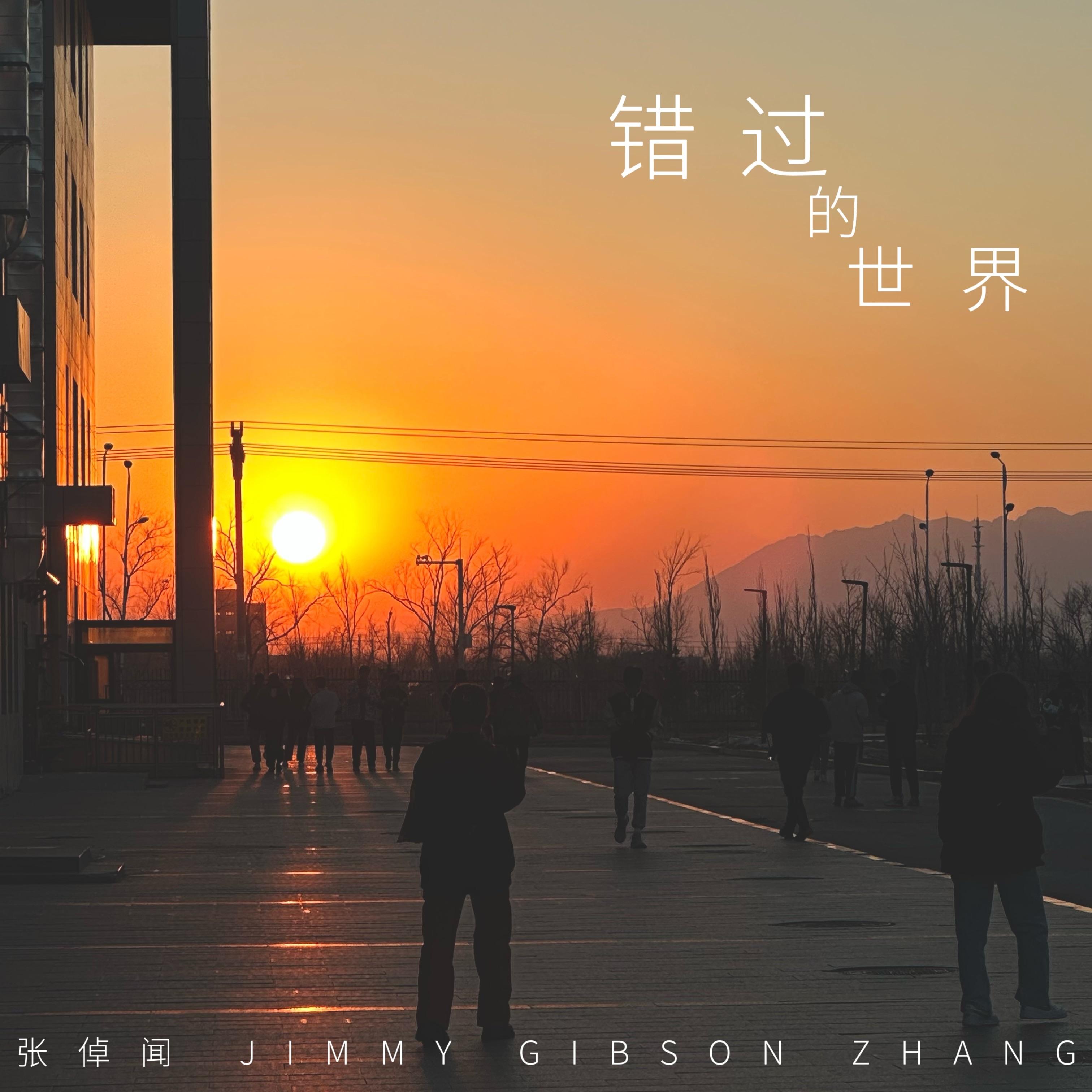 错过的世界封面