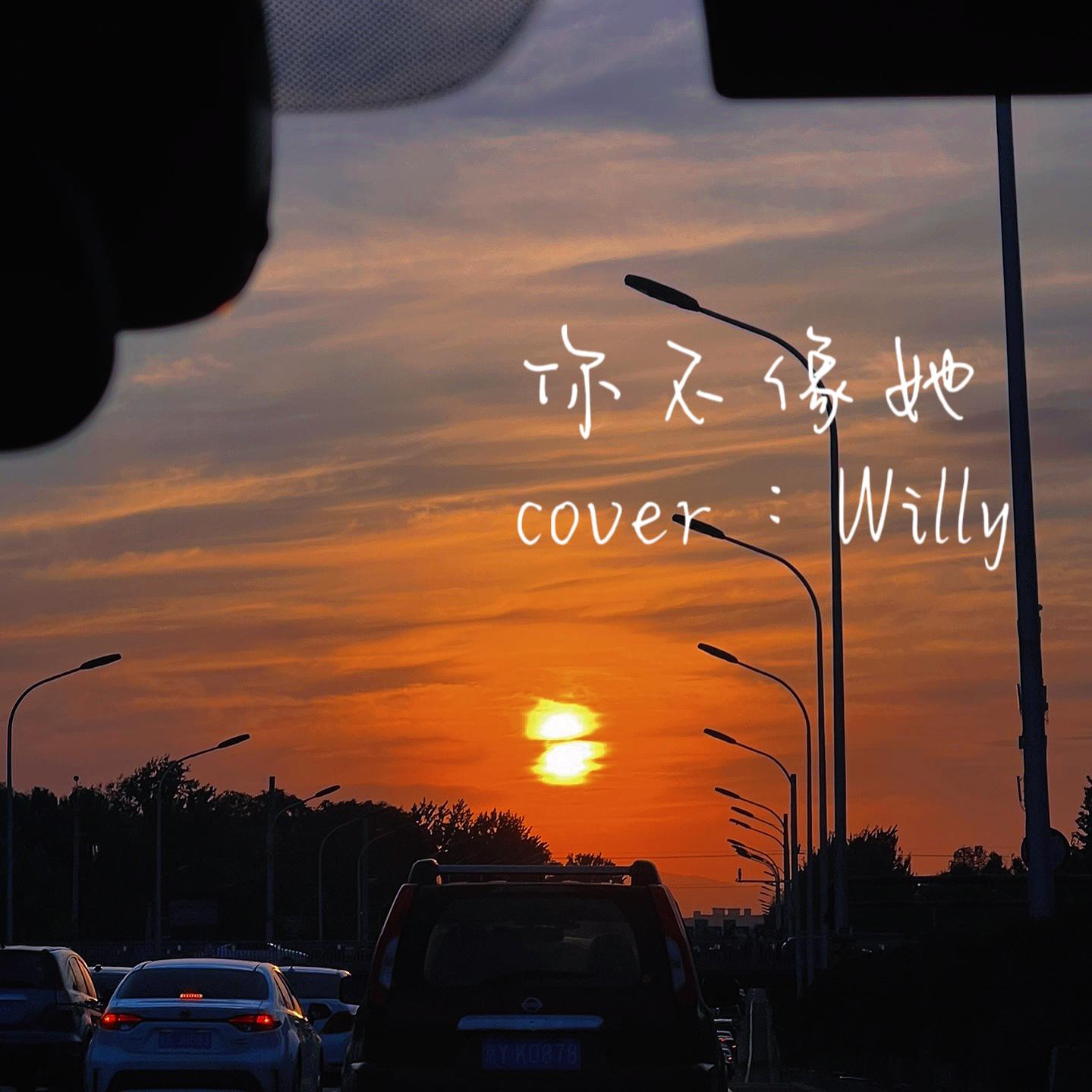 你不像她封面