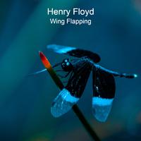 Wing Flapping