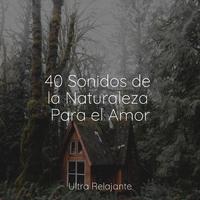 40 Sonidos de la Naturaleza Para el Amor