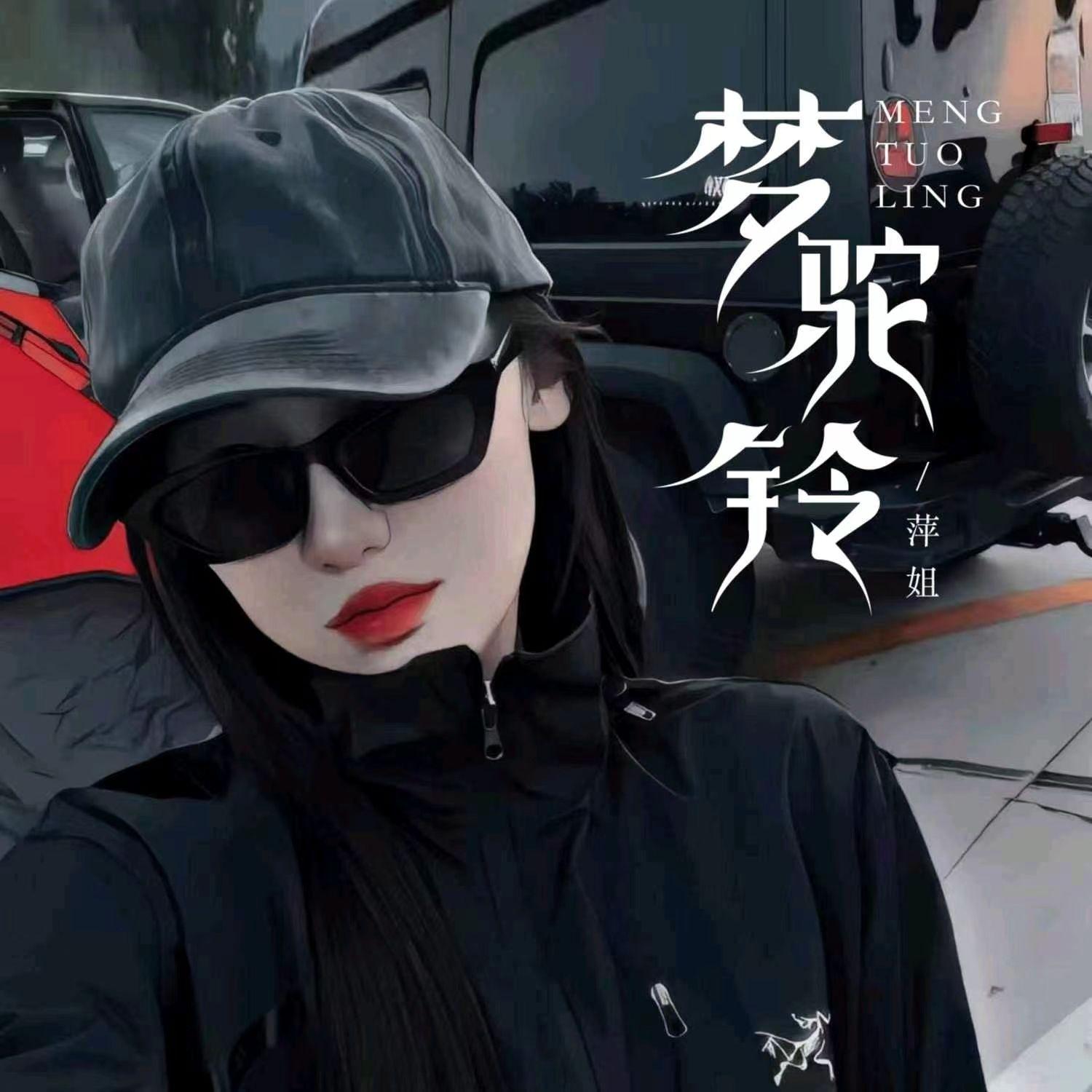 梦驼铃（烟嗓版伴奏）封面