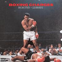 Boxing Charges (feat. Lilmbandz)