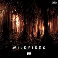 Wildfires