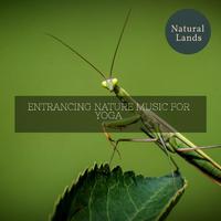 Entrancing Nature Music for Yoga