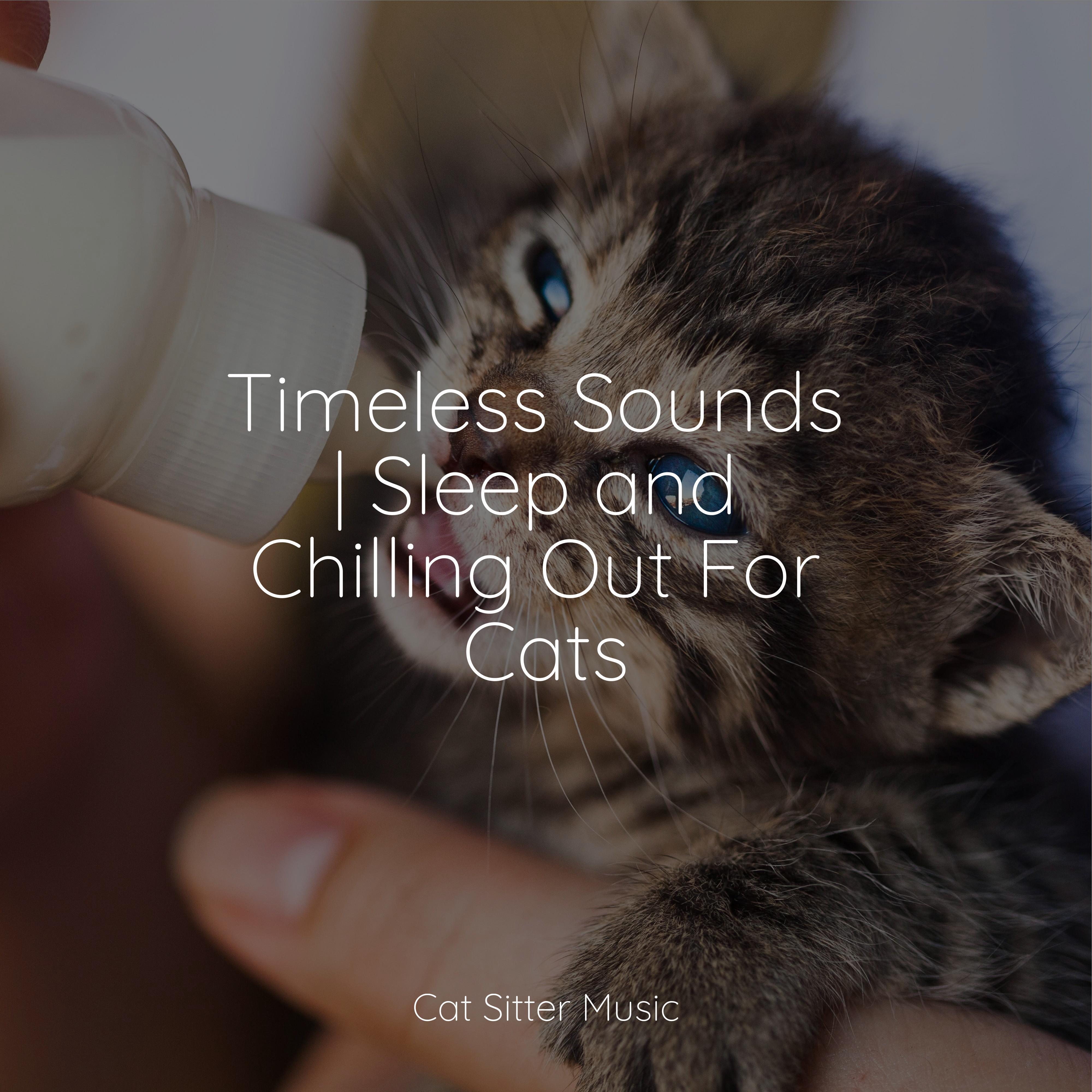 O2_Music for Relaxing Cats_Timeless Sounds | Sleep and Chilling Out For Cats | 在线播放_O2歌词_O2下载 | 网易云音乐