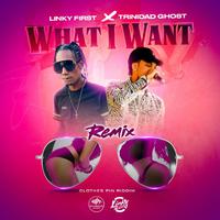 What I Want (feat. Linky First & Trinidad Ghost) [Remix]