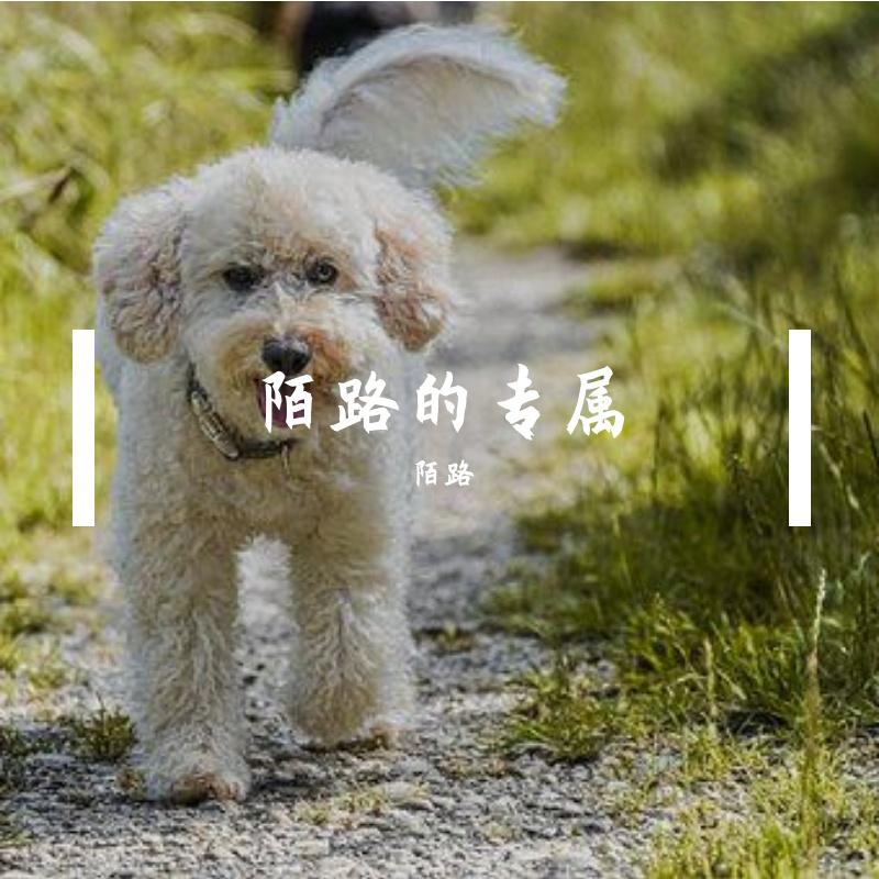 陌路- 三叶的主题(三葉のテーマ)封面