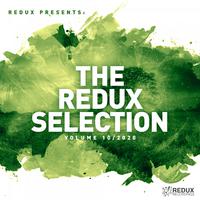 Redux Selection Vol. 10 / 2020