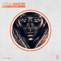 Freak Show, Vol. 14 - Big Room & Electro Session