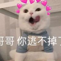 胖安呐资料,胖安呐最新歌曲,胖安呐MV视频,胖安呐音乐专辑,胖安呐好听的歌