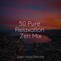 50 Pure Relaxation Zen Mix