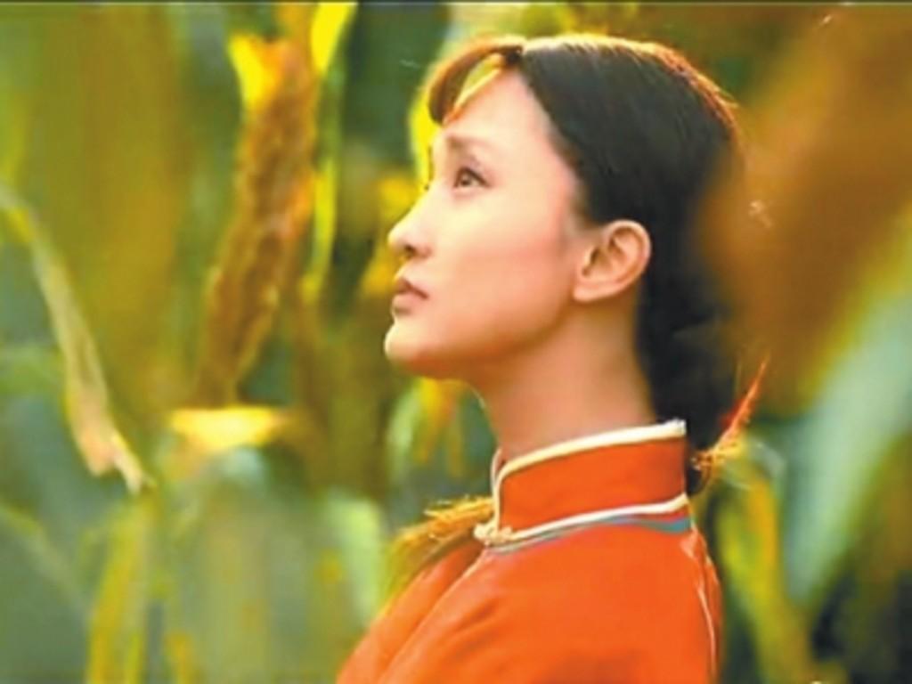 [古筝&二胡]九儿（Cover 谭晶-电视剧《红高粱》主题曲）封面