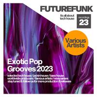 Exotic Pop Grooves 2023