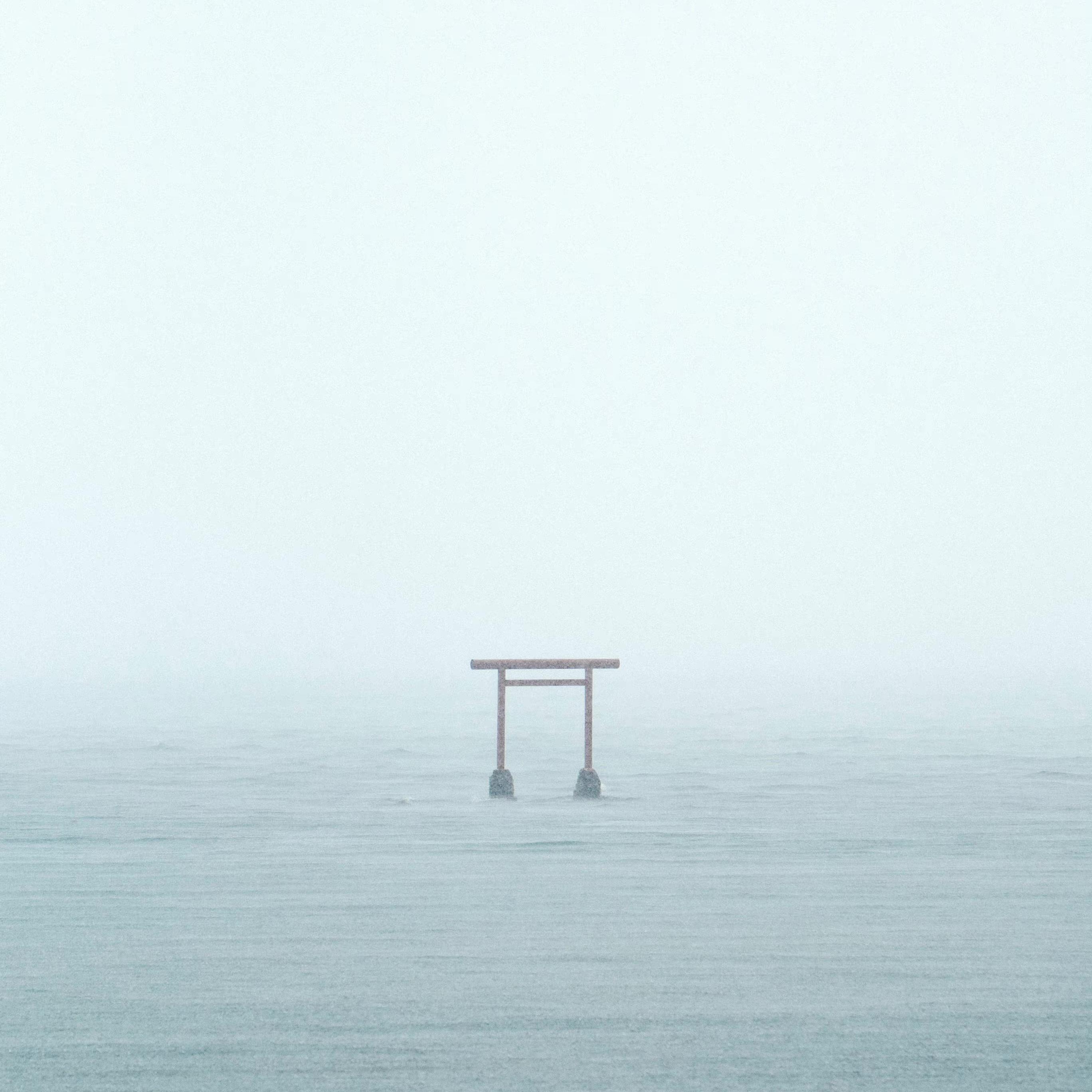 门没锁封面