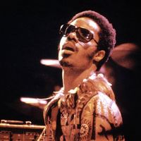 Stevie Wonder