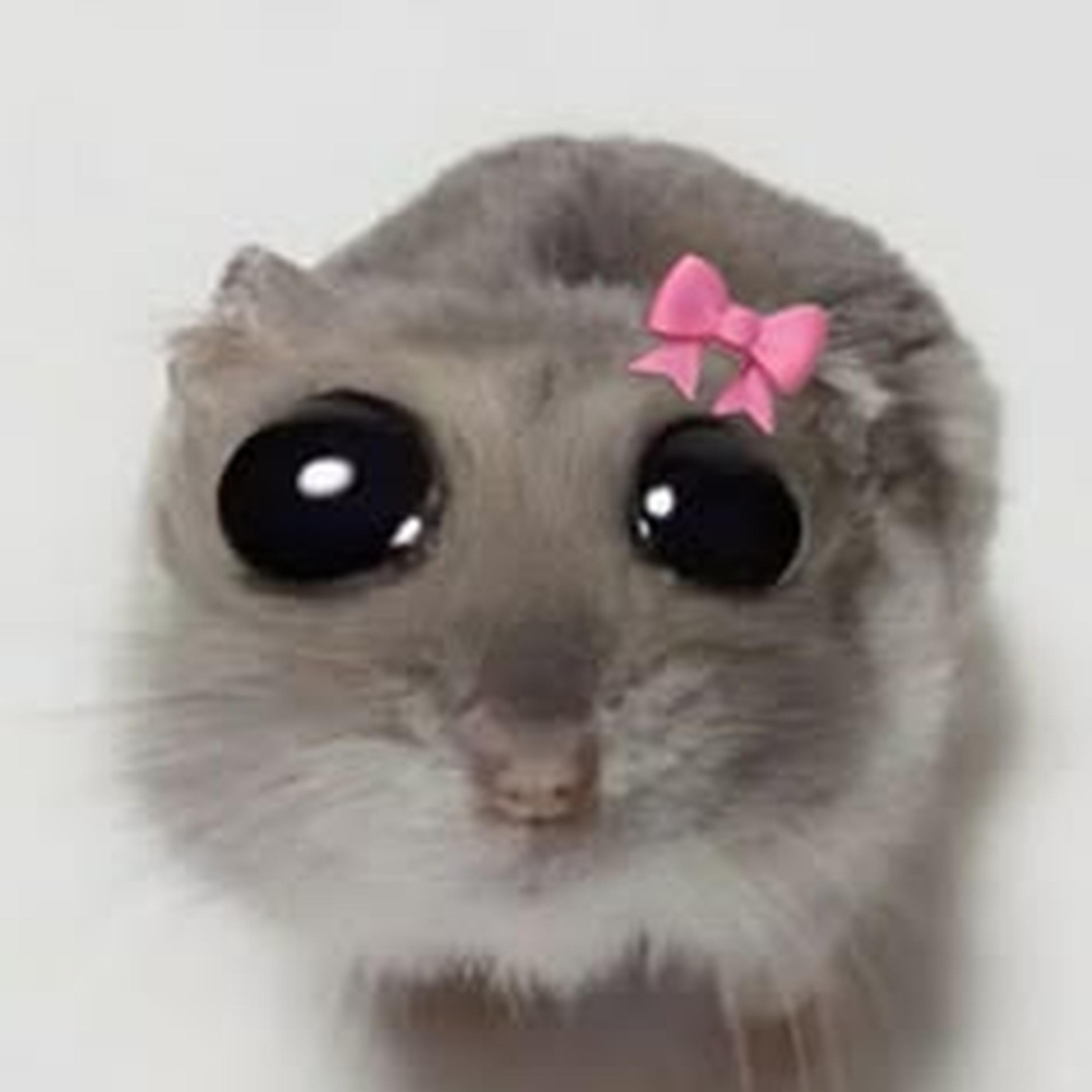 I’m so crazy for you