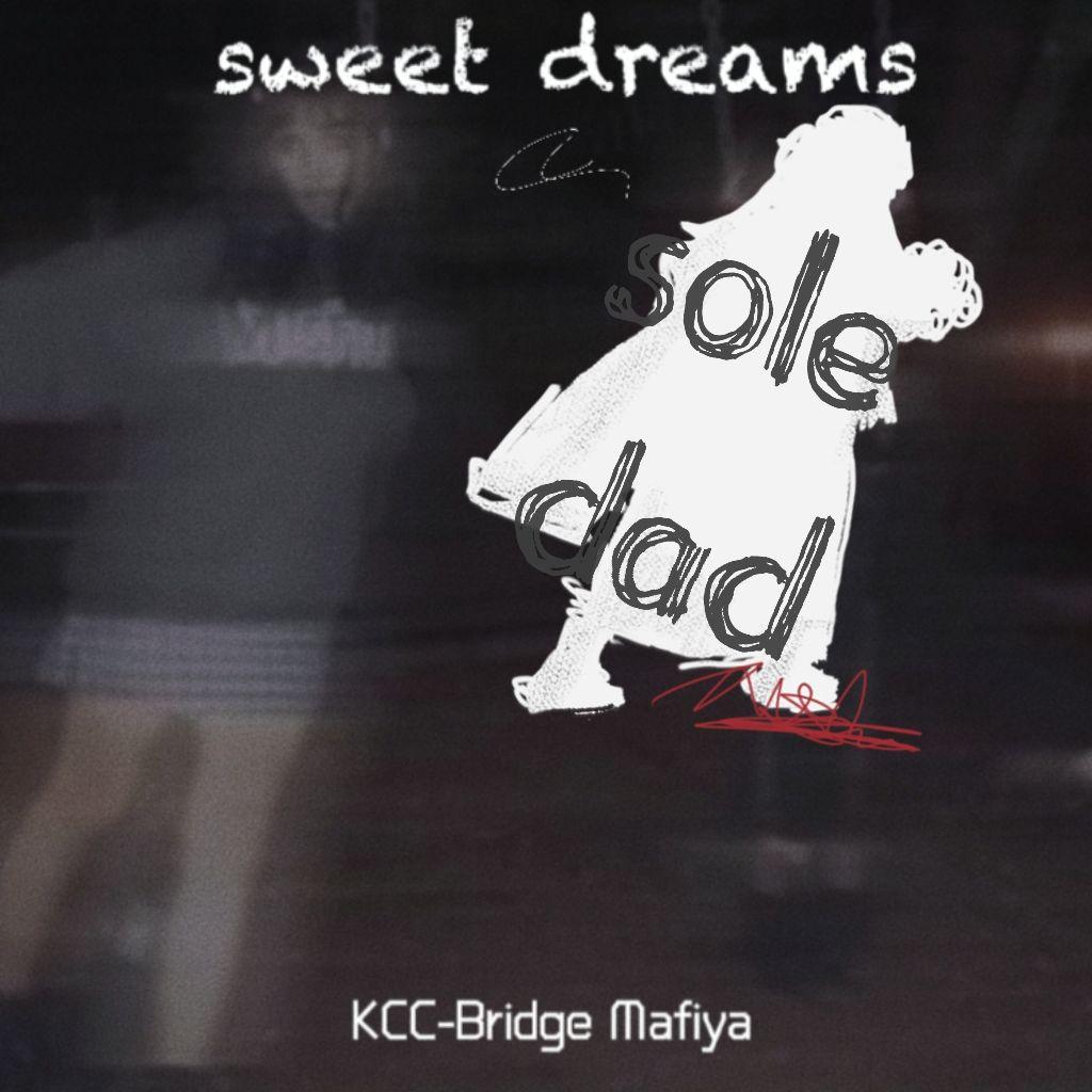soledad - 账号已注销2567封面