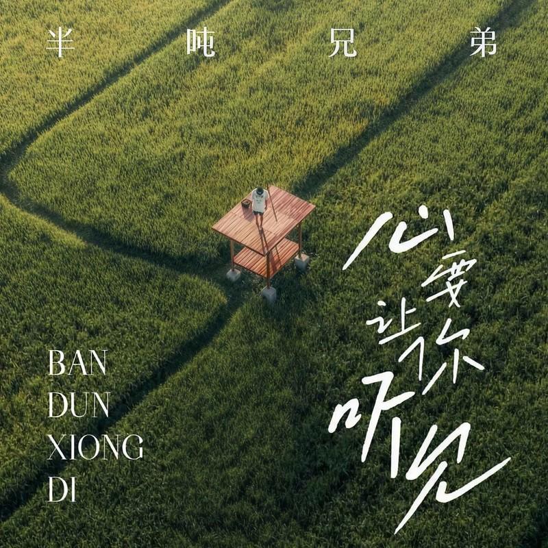 心要让你听见(DJ版) - 半吨兄弟封面
