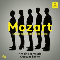 Mozart: String Quintet No. 4 in G Minor, K. 516: III. Adagio ma non troppo