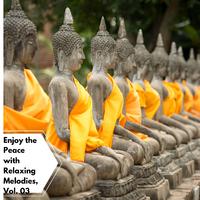 Enjoy The Peace With Relaxing Melodies, Vol. 03