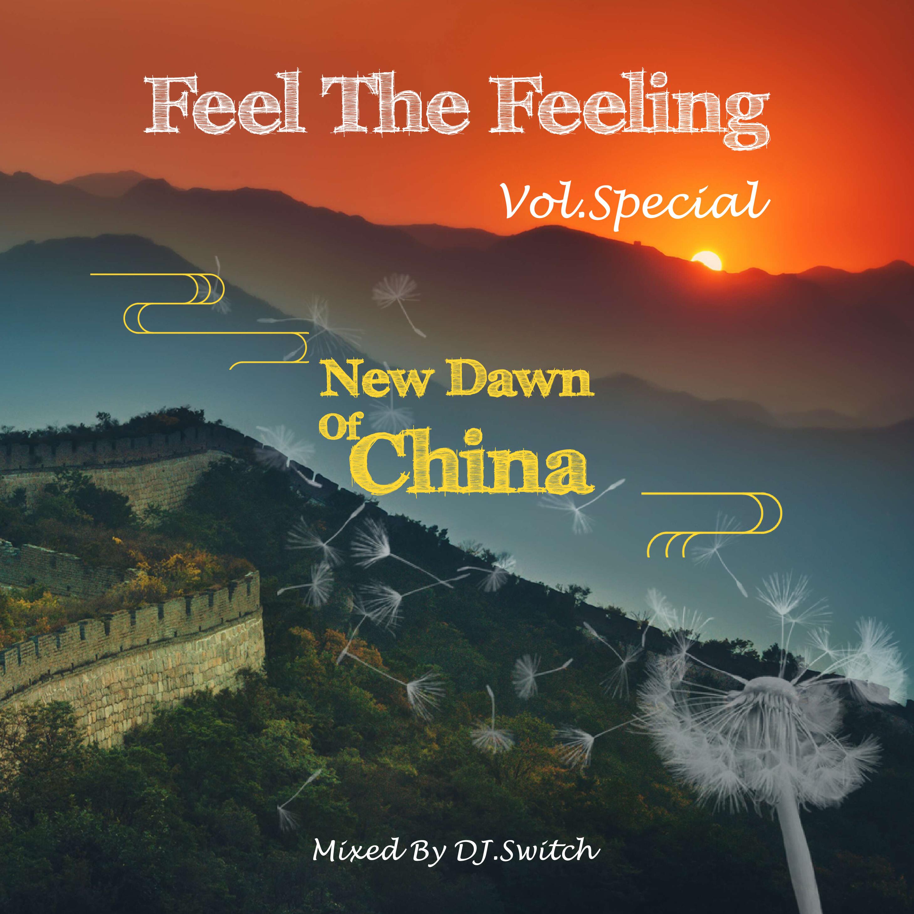 Blindcat-Feel The Feeling (Vol.Special) 中国新曙光——纯音频版(DJSwitch Remix) - DJSwitch封面