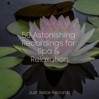 50 Astonishing Recordings for Spa & Relaxation