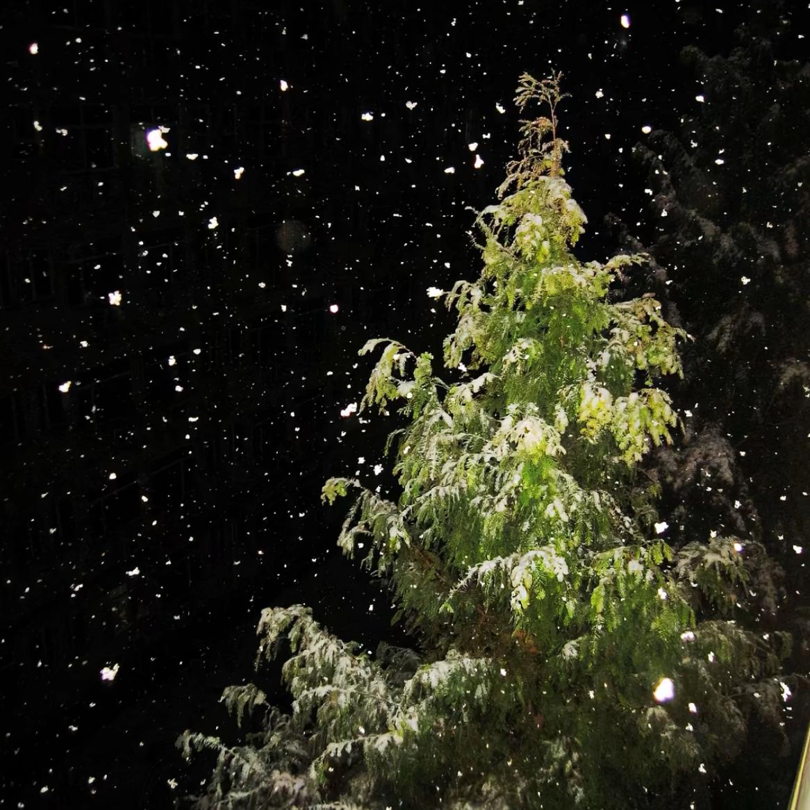 nothinon me zang （remix）