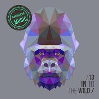 In To The Wild - Vol.13