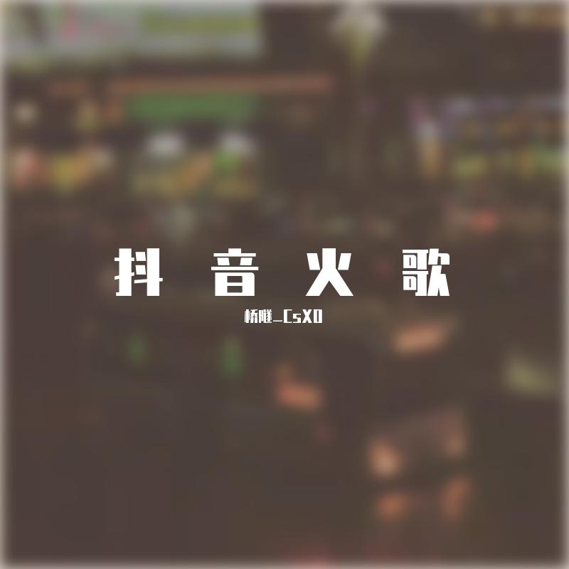 完美降落 - 桥隧_CsXO封面
