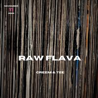 Raw Flava (feat. Dj Tee)