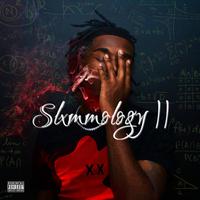 Slxmmology 2