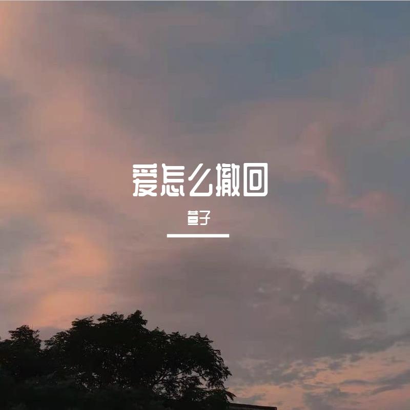 爱怎么撤回（翻自 丁芙妮）