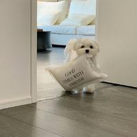 讲-资料,讲-最新歌曲,讲-MV视频,讲-音乐专辑,讲-好听的歌